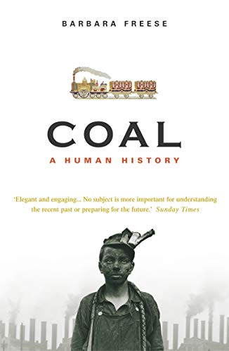 Coal: A Human History von Arrow
